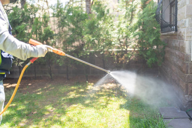 Best Affordable Pest Control Services  in Twin Grove, IL