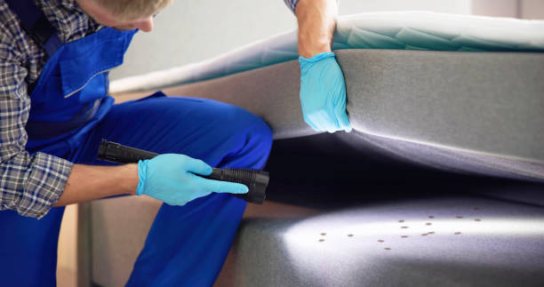 Best Termite Control Services  in Twin Grove, IL