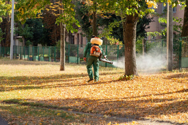 Best Residential Pest Control  in Twin Grove, IL